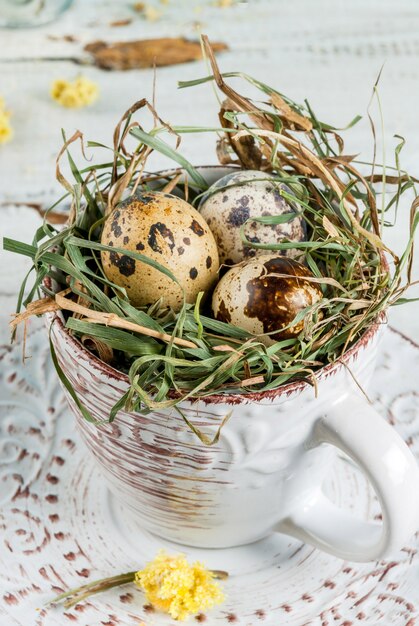 Oeufs dans un nid dans une vieille tasse à café