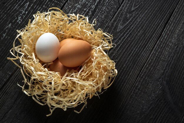 Oeufs dans le nid à la ferme