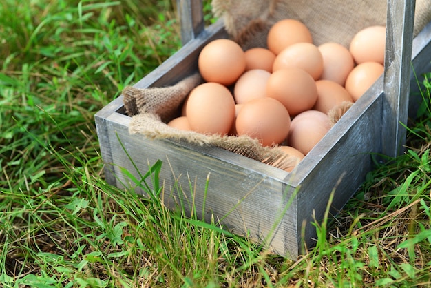 Oeufs dans un panier en bois sur l'herbe à l'extérieur