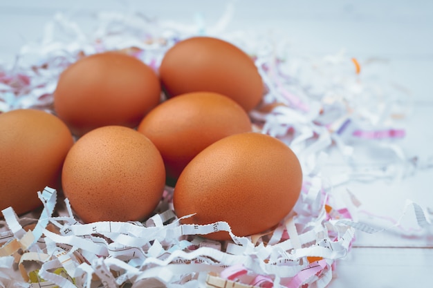 Oeufs dans le papier déchiqueté