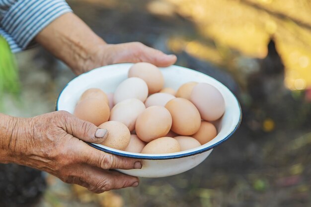 Oeufs faits maison dans les mains de grand-mère. Mise au point sélective.