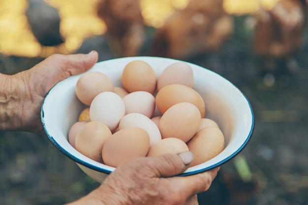 Oeufs faits maison dans les mains de grand-mère