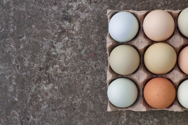 oeufs de ferme bleus et bruns dans une boîte en carton avec vue de dessus