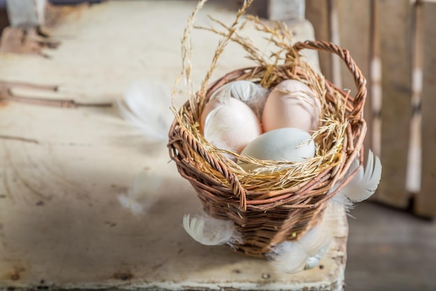 Oeufs fermiers sains de la campagne