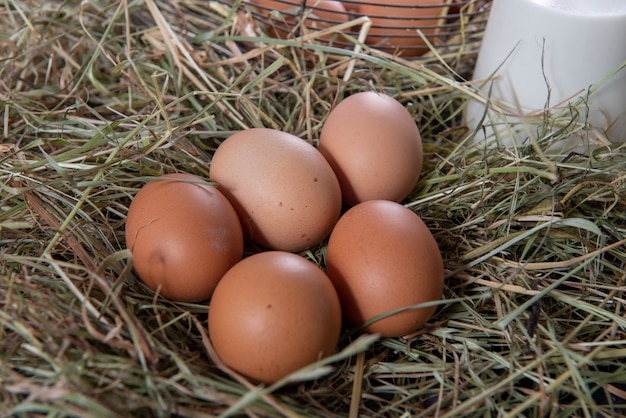 Photo Œufs frais biologiques sur la paille