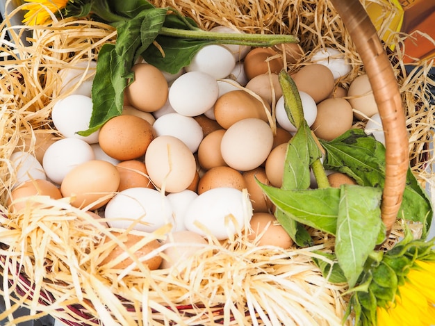 Oeufs frais dans un panier avec de la paille. Fermer.