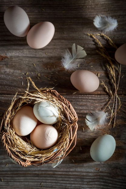 Oeufs frais et écologiques de la campagne