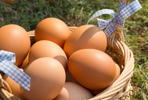 Oeufs frais avec un panier sur fond d&#39;herbe.