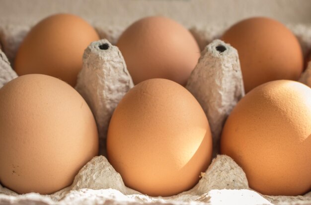 Oeufs jaunes en boîte Nourriture naturelle des terres agricoles Oeufs au soleil