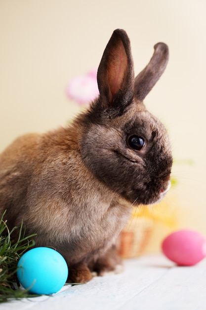 Oeufs et lapin de Pâques