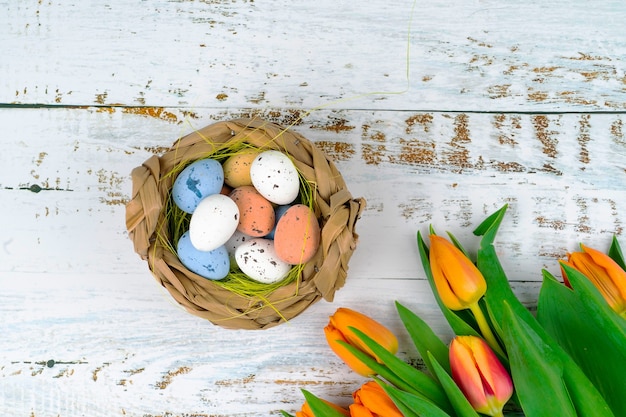 Oeufs mouchetés peints de Pâques multicolores dans le panier sur table en bois blanc avec des tulipes