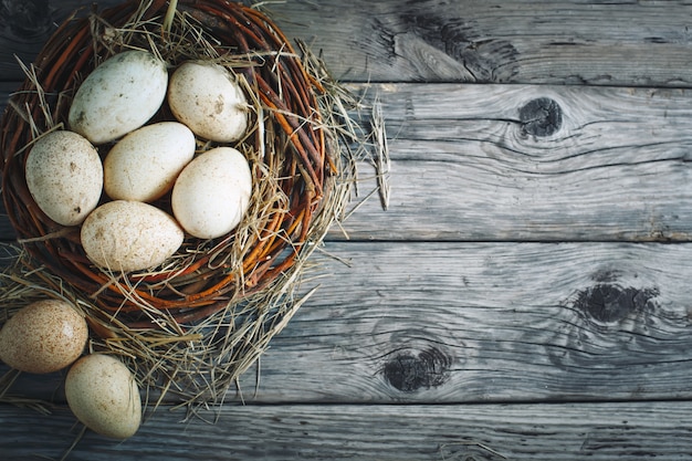 Oeufs d'oie sur un fond sombre. Pâques nature morte.