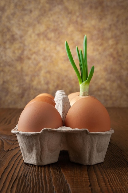 Oeufs et oignons verts Oignons verts entre les oeufs crus bruns dans une boîte à oeufs sur un fond en bois