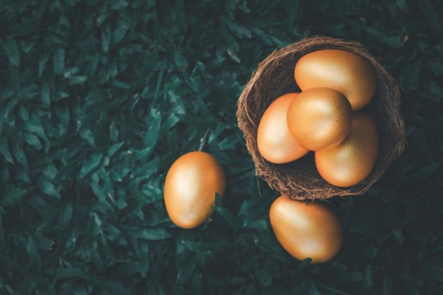 Oeufs d'or sur l'herbe verte pour représenter la richesse et la chance concept de jour de pâques