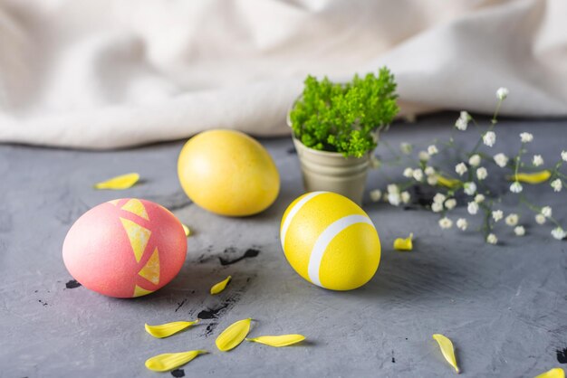 Oeufs de Pâques aux couleurs vives avec des fleurs de printemps sur fond gris Carte de Pâques de printemps festive