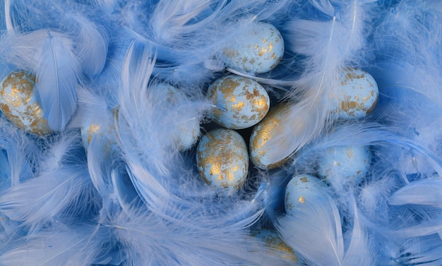 oeufs de pâques bleus sur plumes bleues