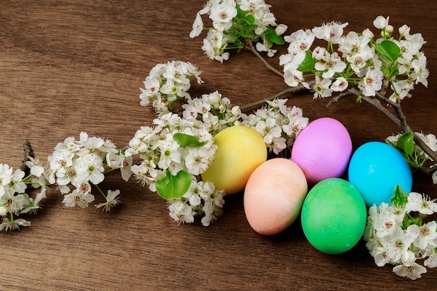 Oeufs de Pâques sur une branche d&#39;arbre en fleurs