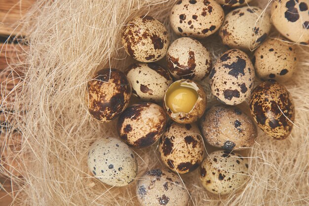 Oeufs de Pâques de caille dans le nid sur bois.