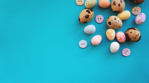 Oeufs de Pâques de caille sur fond bleu. Mise à plat, vue de dessus. Bannière de concept de Pâques.