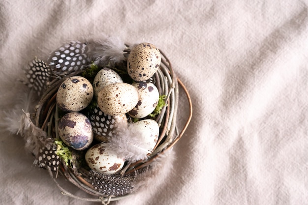 Oeufs de Pâques de caille et plume dans un nid d'oiseau sur fond de textile en lin naturel avec copie espace.