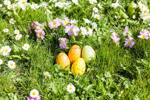 Oeufs de Pâques colorés cachés dans les fleurs et l'herbe