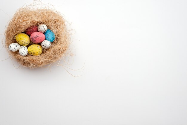 Oeufs de Pâques colorés dans le nid d'oiseau.