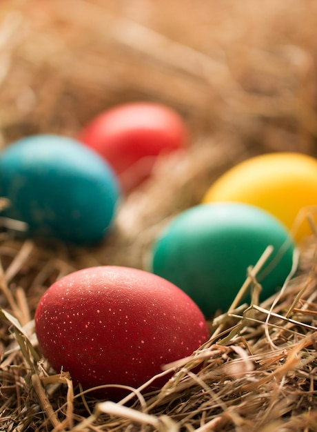 Oeufs de Pâques colorés peints avec des colorants naturels dans la paille Vue de face Concept de Pâques Photo verticale