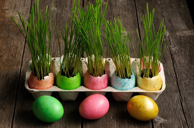 Oeufs de Pâques colorés