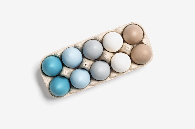 Oeufs de Pâques de couleur pastel en boîte à oeufs sur fond clair avec copie espace Pâques minimal