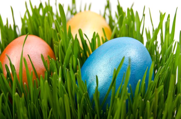 Oeufs de Pâques dans l'herbe verte avec fond blanc