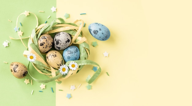 Oeufs de Pâques dans le nid élégant sur fond vert jaune pastel. Espace de copie