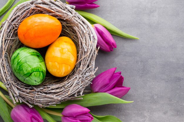 Oeufs de Pâques dans le nid et tulipe