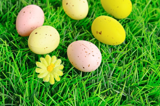 Oeufs de pâques décoratifs sur l'herbe verte