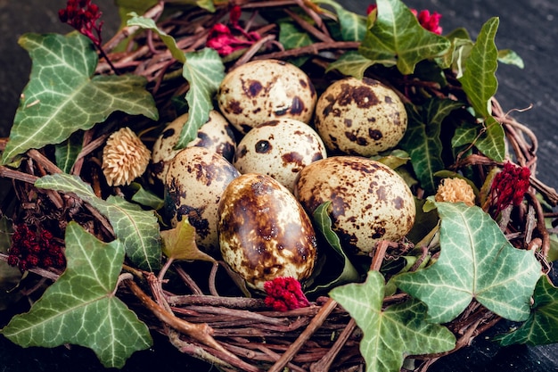 Oeufs de Pâques avec décoration. Oeufs de caille dans un nid d'oiseau.