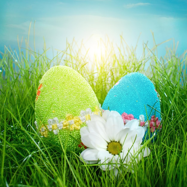 Oeufs de Pâques décorés dans l'herbe sur fond de ciel bleu