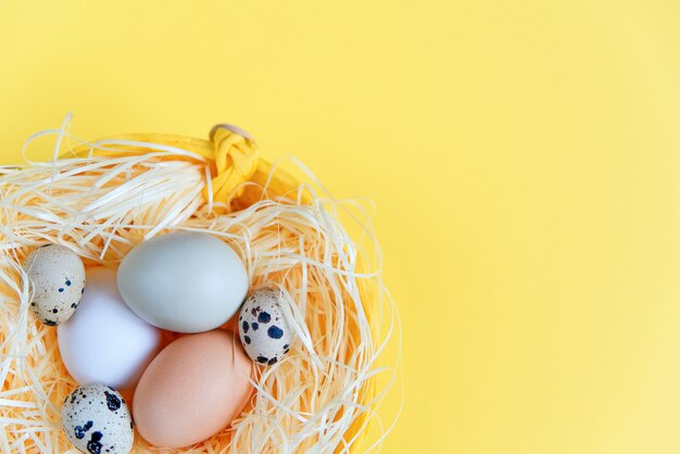 Oeufs de Pâques de différentes couleurs et oeufs de caille dans un panier en osier sur fond jaune. Vue de dessus. Mise à plat. Concept de Pâques. Fermer.