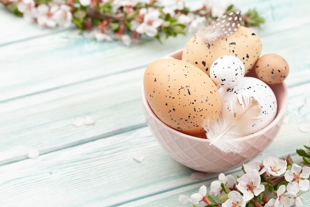 Oeufs De Pâques Et Fleur De Cerisier