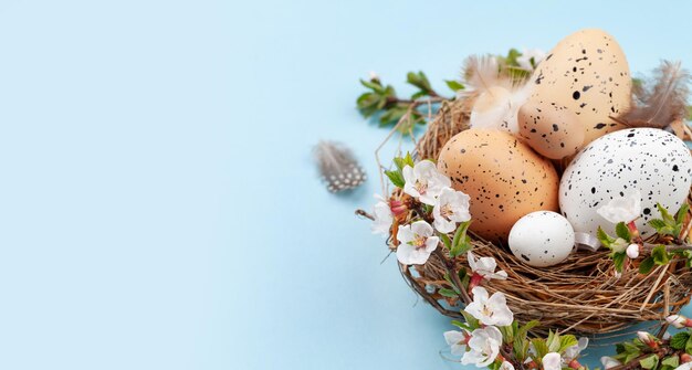 Oeufs de Pâques et fleur de cerisier