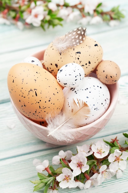 Oeufs de Pâques et fleur de cerisier