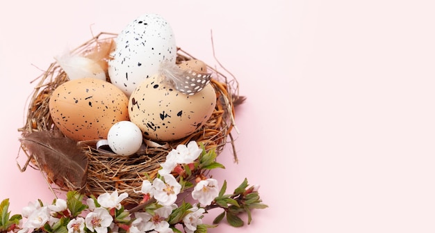 Oeufs de Pâques et fleur de cerisier