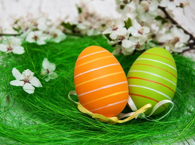 Oeufs de Pâques et fleur de cerisier