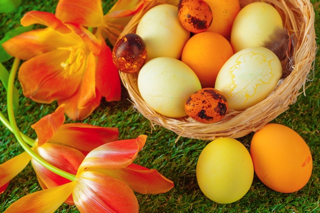 Oeufs de Pâques avec fleur sur l'herbe verte