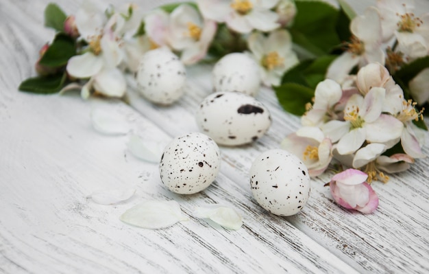 Photo oeufs de pâques et fleur de pommier