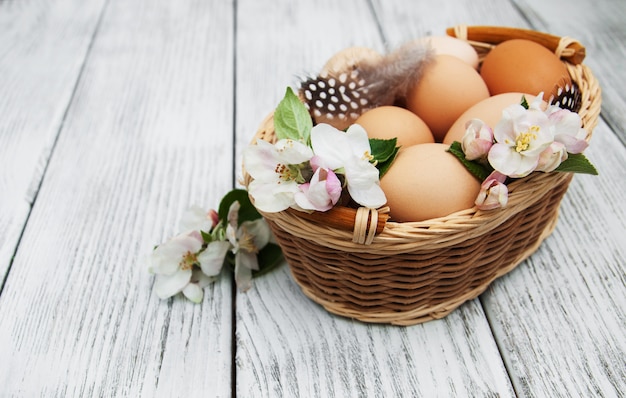 Oeufs de pâques et fleur de pommier