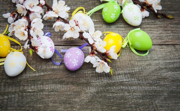 Oeufs de Pâques et fleur de printemps