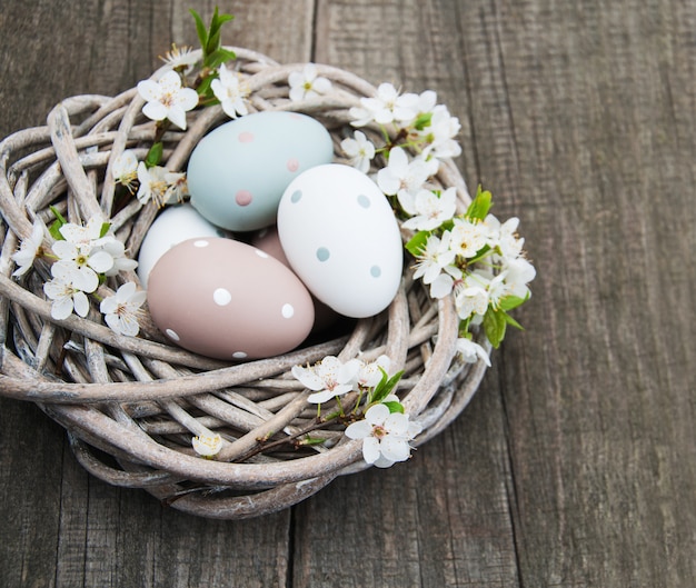 Oeufs de Pâques et fleur de printemps