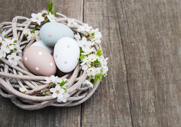 Oeufs de Pâques et fleur de printemps