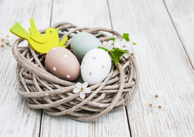 Oeufs de Pâques et fleur de printemps