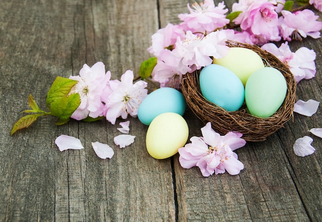 Oeufs de Pâques et fleur de sakura