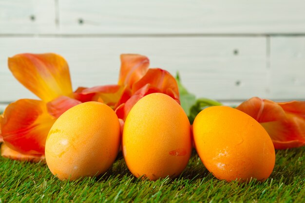 Oeufs de Pâques avec des fleurs sur l'herbe verte